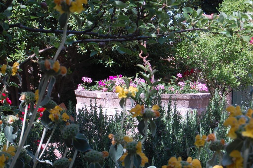 Готель Il Giardino Segreto П'єнца Екстер'єр фото
